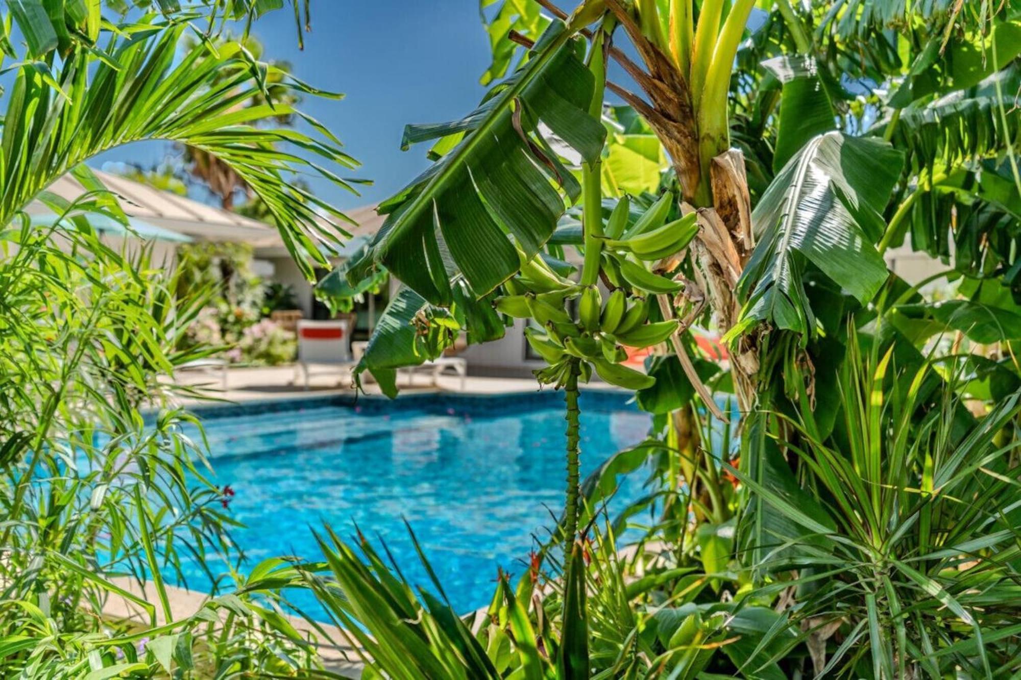 Royal Villa With A Huge Swimming Pool Cowell Battery ภายนอก รูปภาพ
